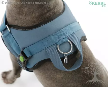 Kerbl Pet Koiran T-valjas Maestro Petrol - Koiran T -valjaat - 80210 - 2