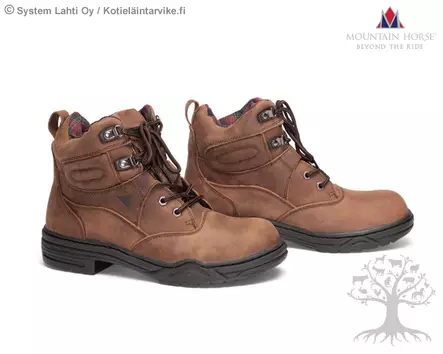 Mountain Horse Jodhpur Rider Class - Jodhpur - 01540 - 1