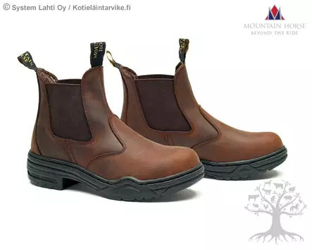 Mountain Horse Jodhpur Stable - Jodhpur - 01220 - 2