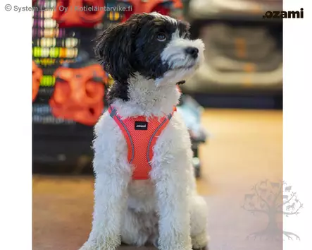 Ozami Air-Mesh Valjas Rosa - Koiran Y-/ H valjaat - 605.5010 - 2