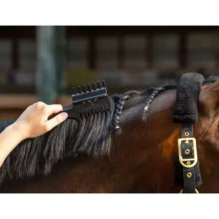 Covalliero Letityskampa Klipsillä Mane Comb Competition - Letitys, Nyppiminen - 3232361 - 2