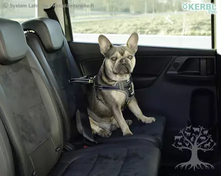 Kerbl Pet Turvavyövaljaat Safety Harness - Turvavaljaat Autoon - 80667 - 1