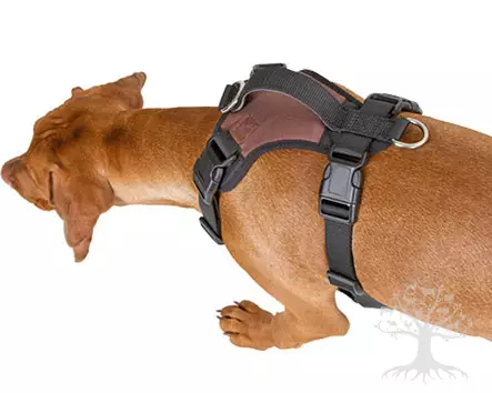 Kerbl Pet Soft Active H-Valjas Brown - Koiran Y-/ H valjaat - 81019 - 2