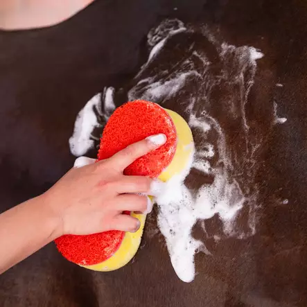 Kerbl Pesusieni Sponge Set, 3kpl - Hikiviilat, Pesusienet - 3232439 - 2