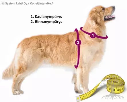 Jokke Soft Touch Y-Valjas, fuksia - Koiran Y-/ H valjaat - 6246000126L - 3