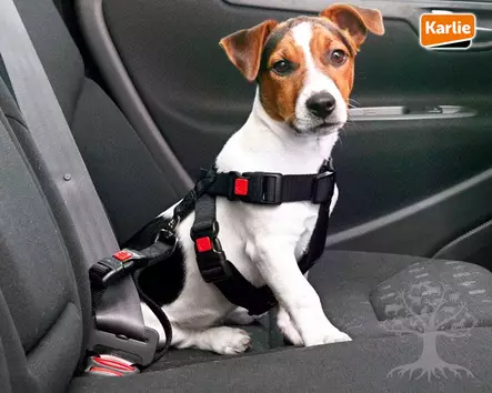 Karlie Turvavaljaat Car Safety - Turvavaljaat Autoon - 628.0020M - 1