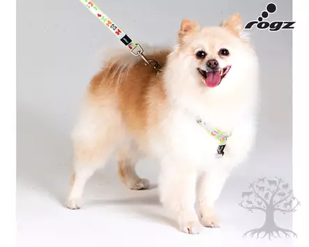 Rogz Valjas Trendy Lapz Blue - Koiran Y-/ H valjaat - 617.8620M - 2