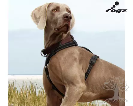 Rogz Valjas Utility Reflective Brown - Koiran Y-/ H valjaat - 617.1170M - 3