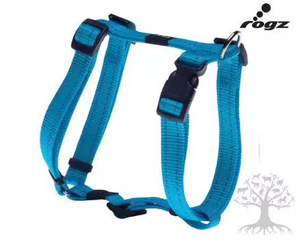 Rogz Valjas Utility Reflective Turquoise - Koiran Y-/ H valjaat - 617.1150M - 2